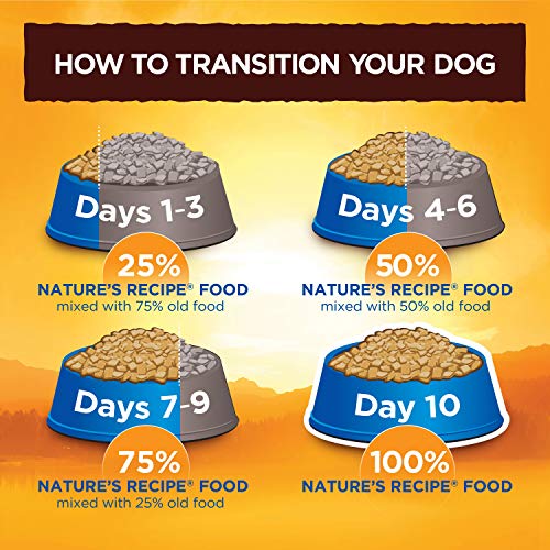 Natures Recipe Grain Free Dry Dog Food, Chicken, Sweet Potato &Amp;