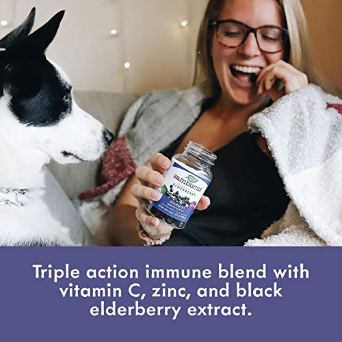 Natures Way Sambucus Black Elderberry Gummies With Vitamin C An