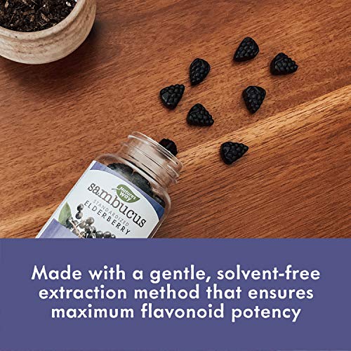 Natures Way Sambucus Black Elderberry Gummies With Vitamin C An