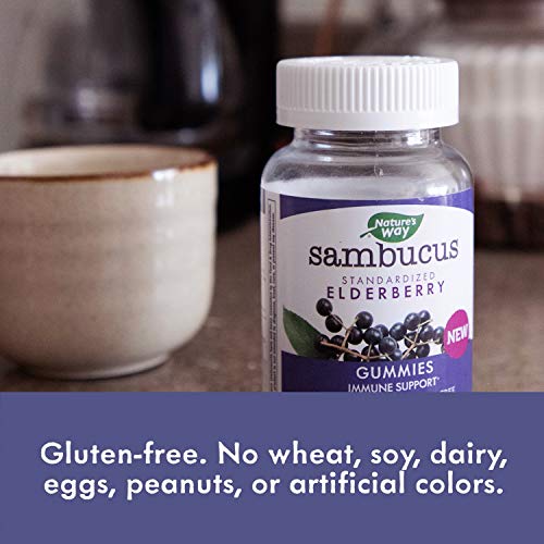 Natures Way Sambucus Black Elderberry Gummies With Vitamin C An
