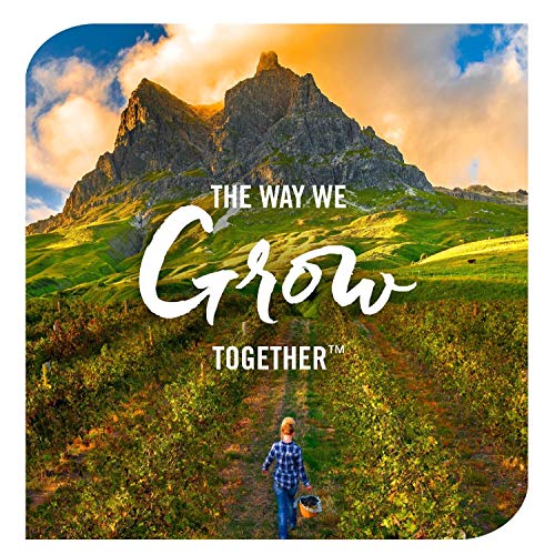 Natures Way Sambucus Black Elderberry Gummies With Vitamin C An