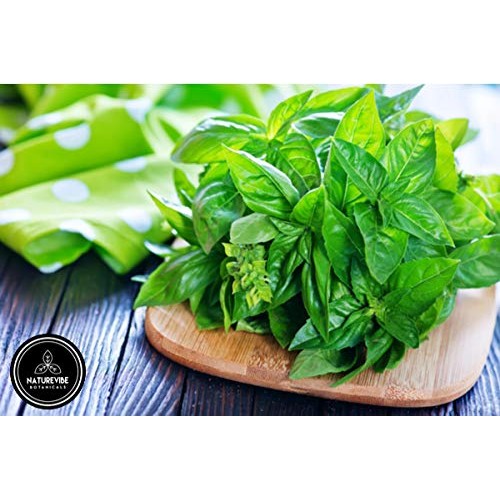 Naturevibe Botanicals Basil Leaves 100Gm