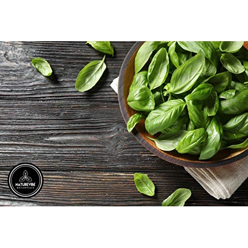 Naturevibe Botanicals Basil Leaves 100Gm