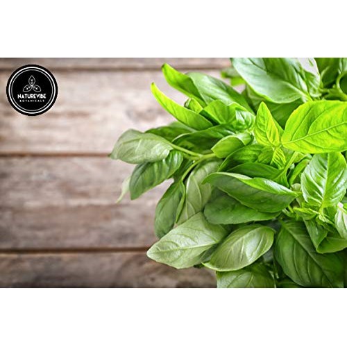 Naturevibe Botanicals Basil Leaves 100Gm