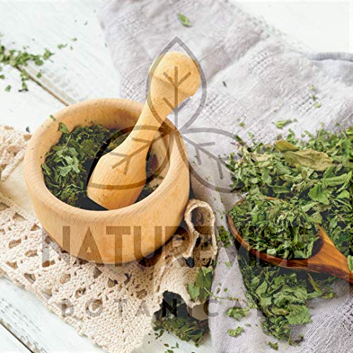 Naturevibe Botanicals Mint Powder 8Oz, Non-Gmo And Gluten Free |