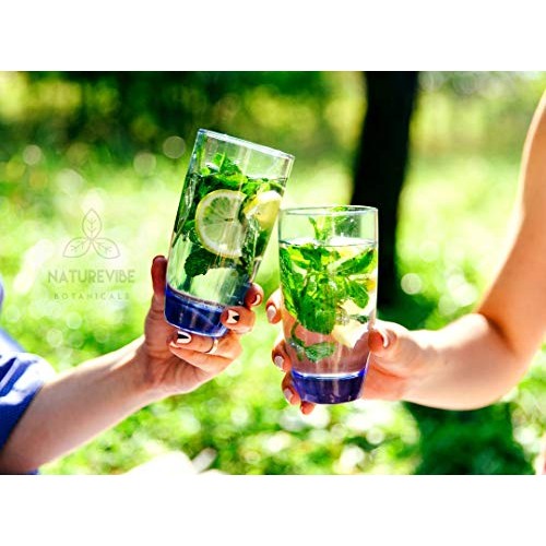 Naturevibe Botanicals Mint Powder 8Oz, Non-Gmo And Gluten Free |