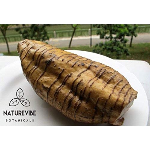 Naturevibe Botanicals Organic Arrowroot Powder, 16 Ounces | Arro