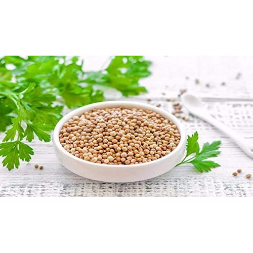 Naturevibe Botanicals Organic Coriander Seeds, 5Lbs | Raw, Glute