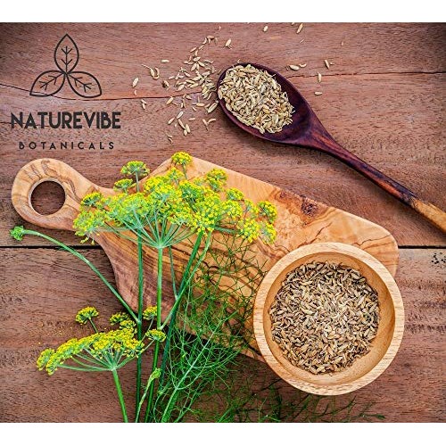 Naturevibe Botanicals Organic Fennel Seeds 1Lb, Foeniculum Vulga