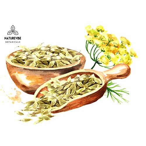 Naturevibe Botanicals Organic Fennel Seeds 1Lb, Foeniculum Vulga