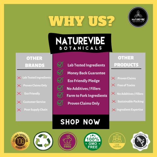 Naturevibe Botanicals Organic Fennel Tea Bags 100 Bags | Premi...