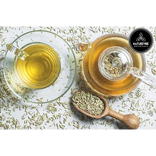 Naturevibe Botanicals Organic Fennel Tea Bags 100 Bags | Premi...