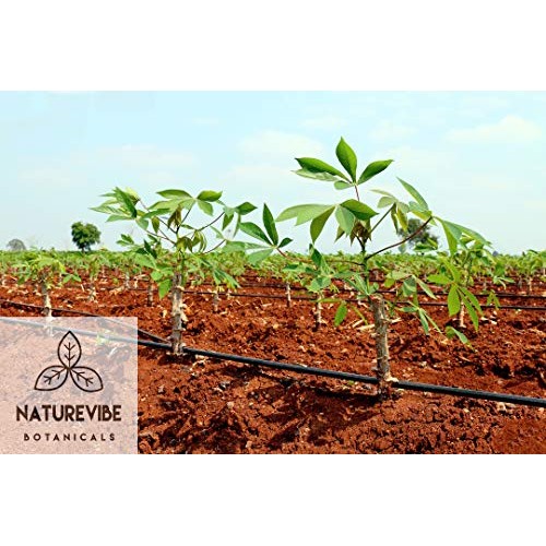 Naturevibe Botanicals Tapioca Flour, 2Lbs | Gluten-Free &Amp; Non Gm