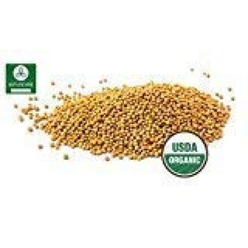 Naturevibe Botanicals Organic Yellow Mustard Seed Powder, 1 Poun