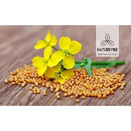 Naturevibe Botanicals Organic Yellow Mustard Seed Powder, 1 Poun