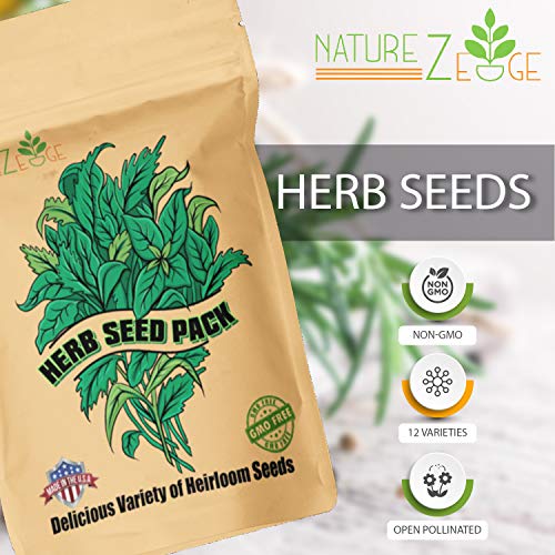 Naturez Edge 12 Herb Seeds Variety Pack, 6000+ Heirloom Seeds Fo