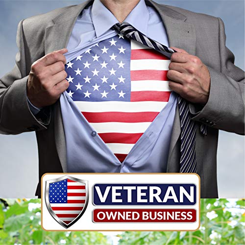 Naturez Edge 12 Herb Seeds Variety Pack, 6000+ Heirloom Seeds Fo