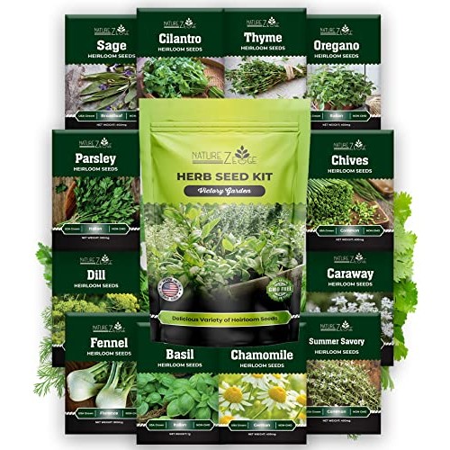 Naturez Edge 12 Herb Seeds Variety Pack, 6000+ Heirloom Seeds Fo