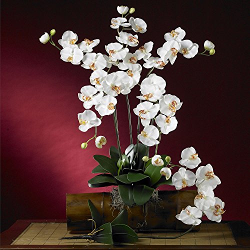 Nearly Natural 2044-Cr-12 Phalaenopsis Stem Set Of 12 Cream