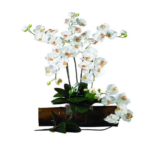 Nearly Natural 2044-Cr-12 Phalaenopsis Stem Set Of 12 Cream