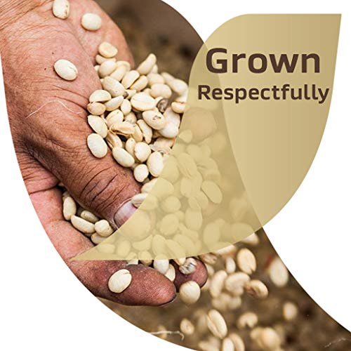 Nescafe Tasters Choice Instant Coffee, French Roast, 7 Ounce