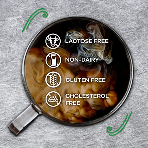 Nestle Coffee Mate Jar Creamer Powder Creamy chocolate