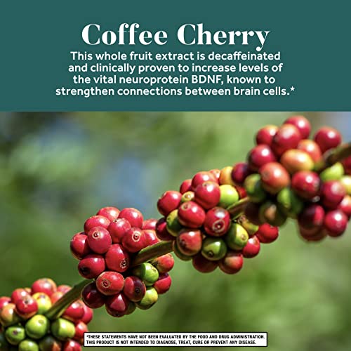 Nootropic Brain Support Supplement - Neuriva De-Stress Capsules