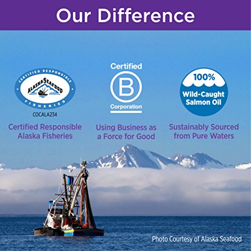 New Chapter Wholemega Fish Oil Supplement - Wild Alaskan Salmon