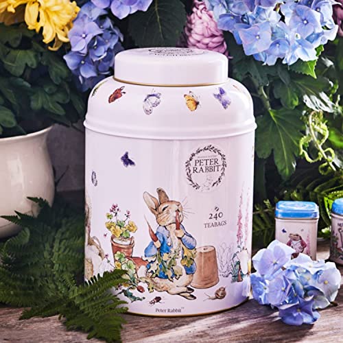 New English Teas Beatrix Potter Peter Rabbit Tea Caddy with 240 ...