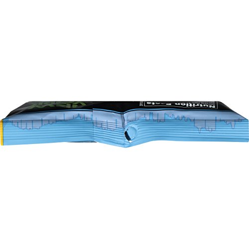 New York Style Pita Chips, Sea Salt, 8 Ounce Pack Of 12