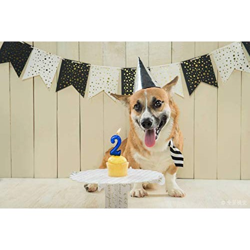 Newcandle Blue Birthday Candles 7 Candle 7Th Seven Years Cake Ba