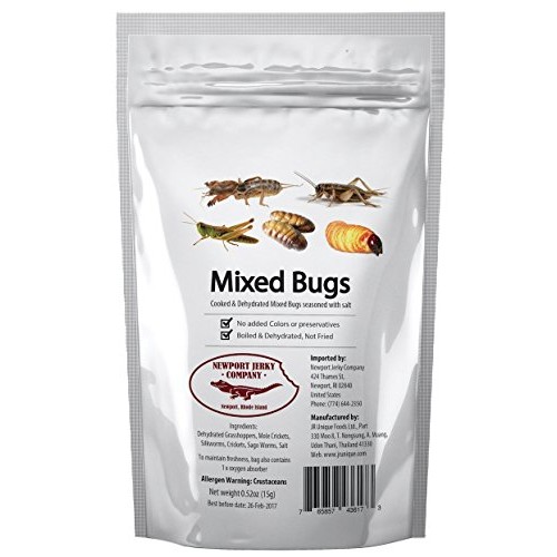 Edible Insects Bag Of Mixed Edible Bugs. Grasshoppers, Crickets,