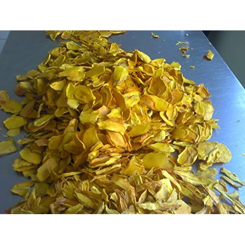 Next Organics Dried Mango, 6 Oz Bag Pack Of 6