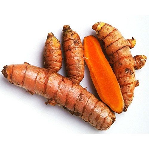 Fresh Wild Turmeric & Ginger Combo - By Nine Shani 1/2 lb