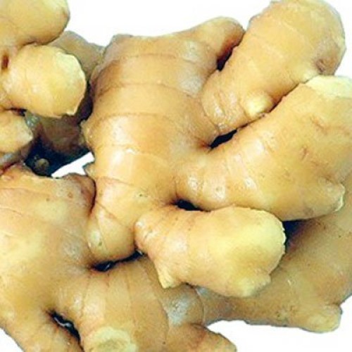 Fresh Wild Turmeric & Ginger Combo - By Nine Shani 1/2 lb