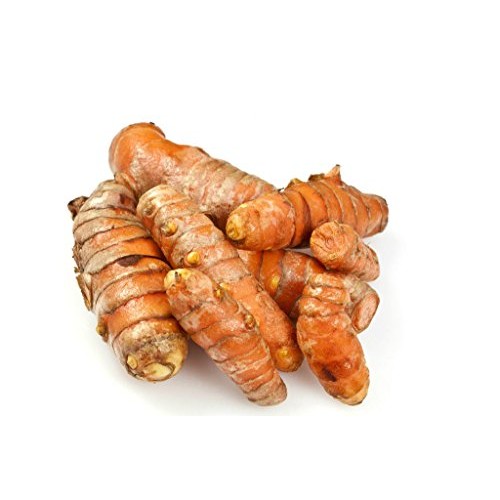Fresh Wild Turmeric & Ginger Combo - By Nine Shani 1/2 lb
