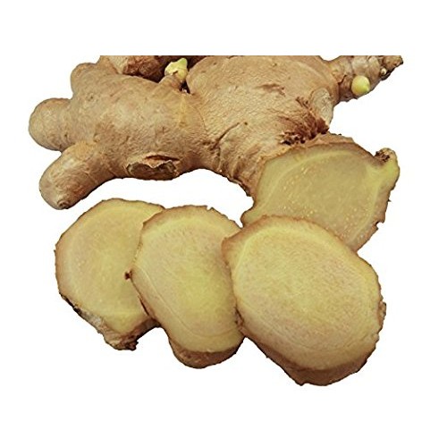 Fresh Wild Turmeric & Ginger Combo - By Nine Shani 1/2 lb