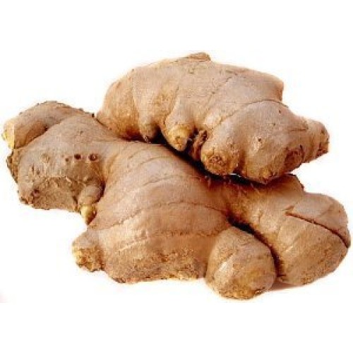Fresh Wild Turmeric & Ginger Combo - By Nine Shani 1/2 lb