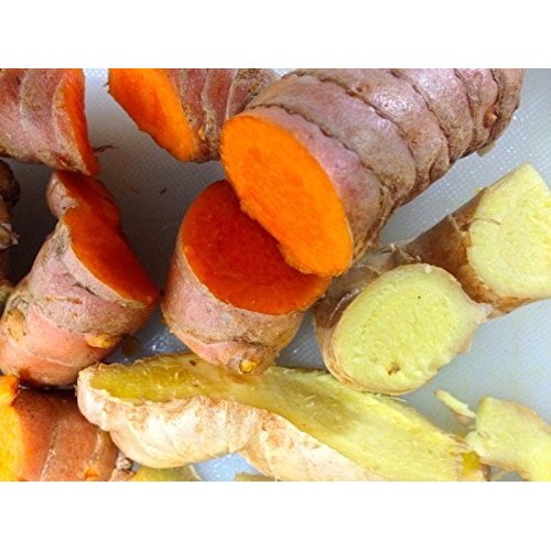 Fresh Wild Turmeric & Ginger Combo - By Nine Shani 1/2 lb