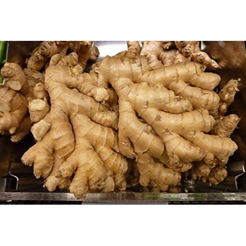 Organic Fresh Ginger From Pure 2