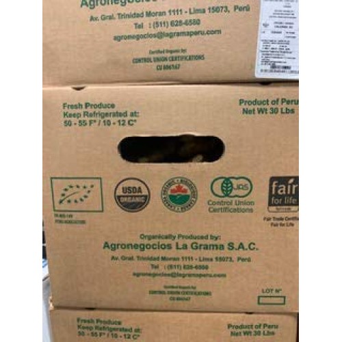 Organic Fresh Ginger From Pure 2