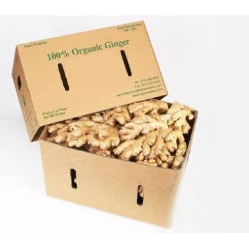 Organic Fresh Ginger From Pure 2
