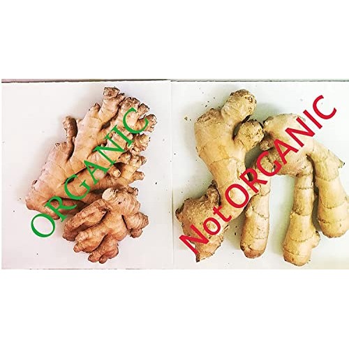 Organic Fresh Ginger From Pure 2