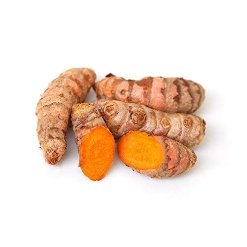 Fresh wild turmeric from fiji by nineshani 1lb 3