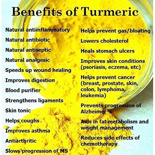 Fresh wild turmeric from fiji by nineshani 1lb 3