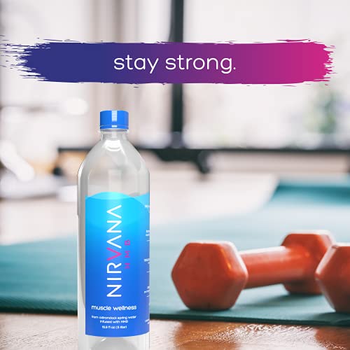 Nirvana Hmb Premium Water – Hmb Infused Adirondack Spring Water