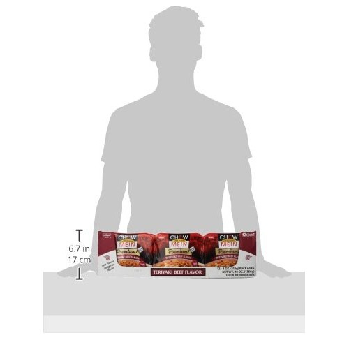 Nissin Chow Mein Premium Teriyaki Beef, 4.0 Ounce Pack Of 12