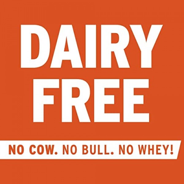 No Cow Energy Bar, Chocolate Peanut Butter, 12g Plant Based Prot...