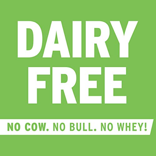 No Cow Protein Bars, 12 Flavor Sampler Pack, 20G Plus Plant Base