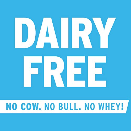 No Cow Protein Bars, Cookies N Cream, 20G Plant Based Vegan Pro